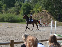 DSC_9347_web